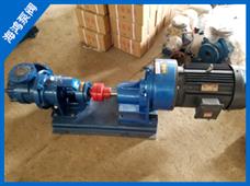 NYP高粘度轉子泵-高粘度轉子泵